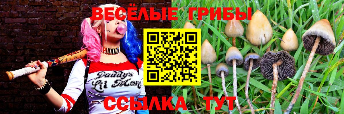Галлюциногенные грибы Psilocybine cubensis Отрадное