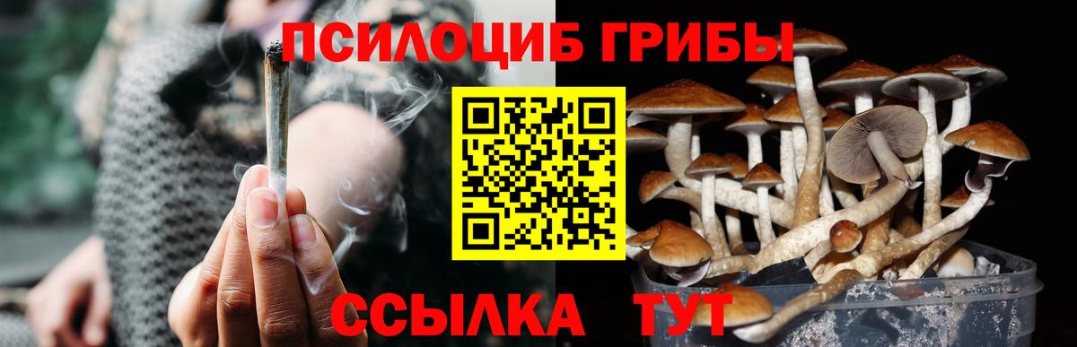 Псилоцибиновые грибы Psilocybe  купить наркотик  Отрадное  Вход с VPN 